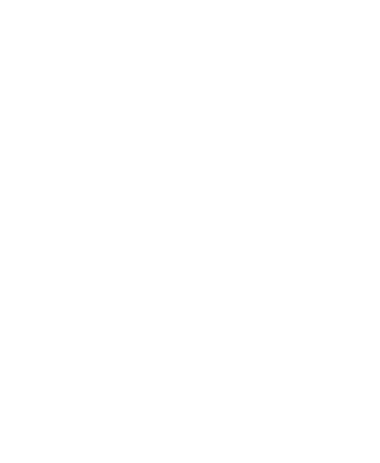 white flame White Blaze Creative
